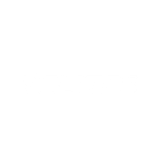 Velites