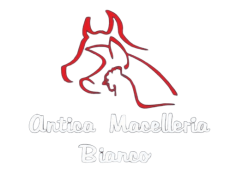 antica macc